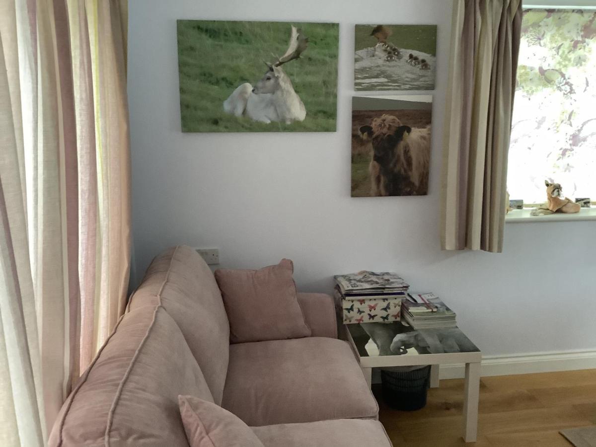 Exmoor Retreat On Two Moors Way Withypool Ngoại thất bức ảnh
