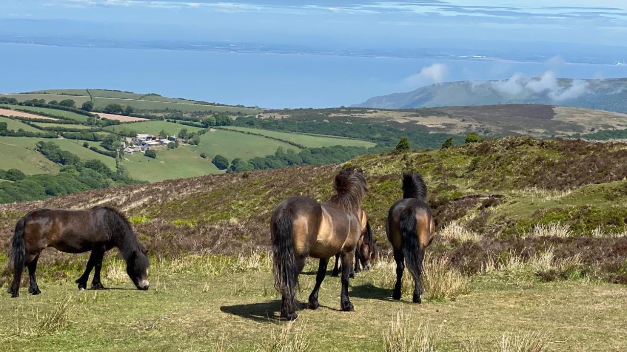 Exmoor Retreat On Two Moors Way Withypool Ngoại thất bức ảnh