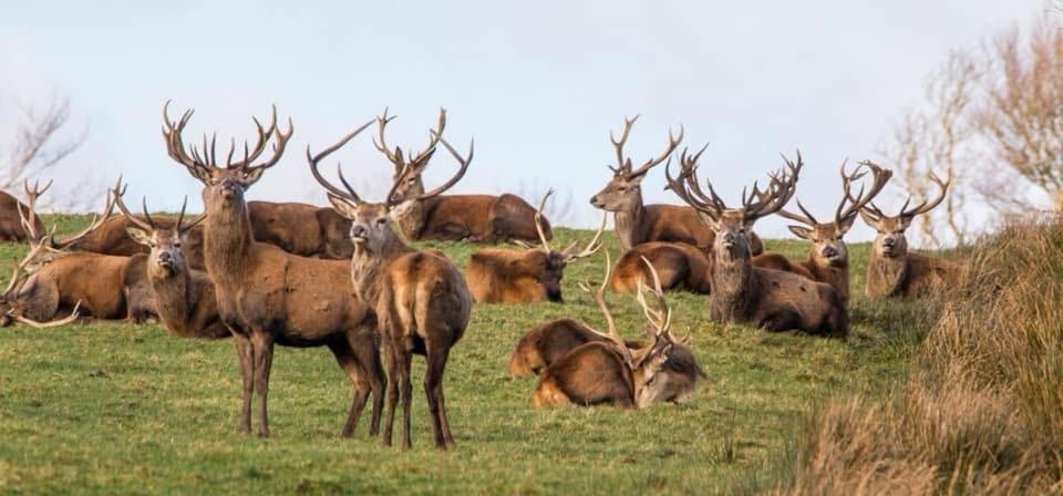 Exmoor Retreat On Two Moors Way Withypool Ngoại thất bức ảnh