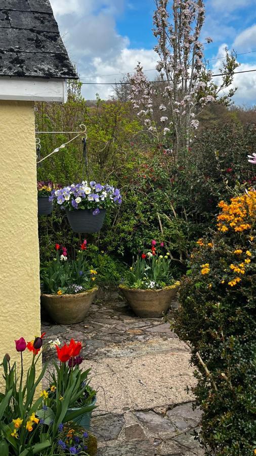 Exmoor Retreat On Two Moors Way Withypool Ngoại thất bức ảnh