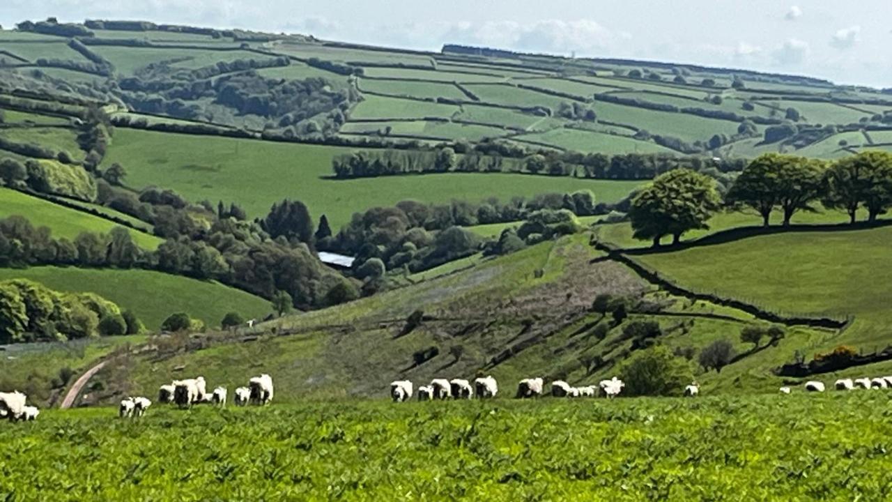 Exmoor Retreat On Two Moors Way Withypool Ngoại thất bức ảnh
