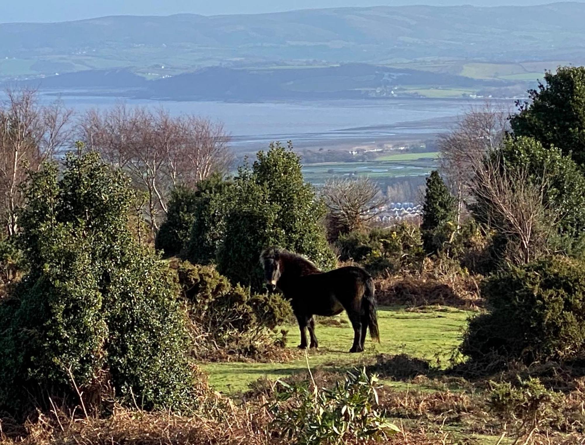 Exmoor Retreat On Two Moors Way Withypool Ngoại thất bức ảnh