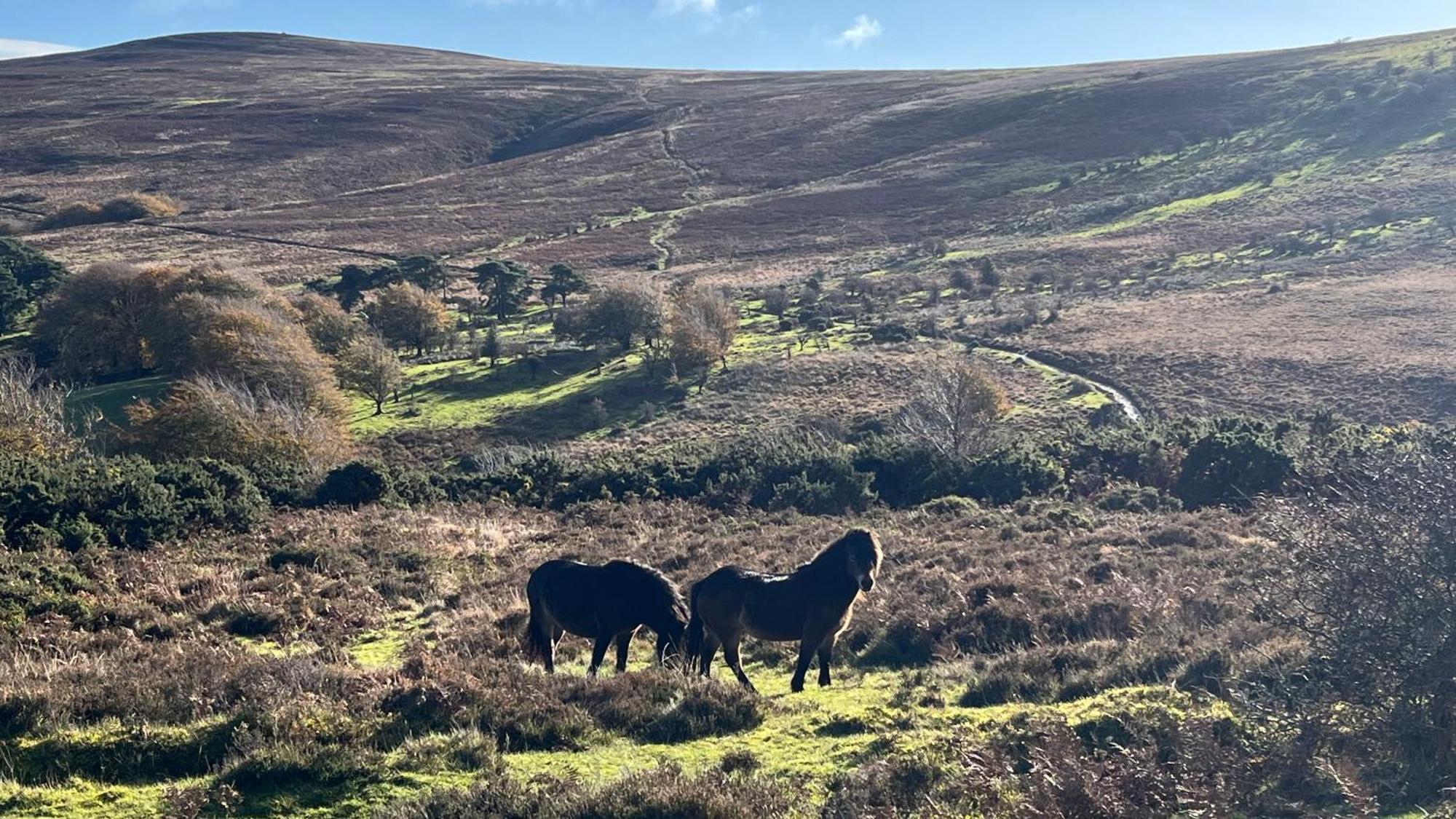Exmoor Retreat On Two Moors Way Withypool Ngoại thất bức ảnh